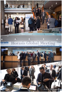 Horasis Global Meeting 2019 - Follow Up