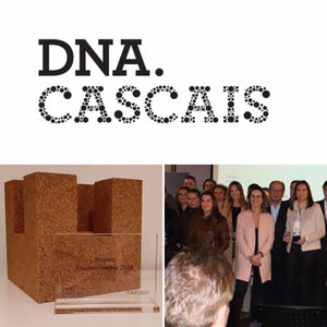 Presentation of the new companies supported by DNA Cascais 2018