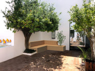 LANZAROTE